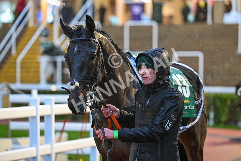 141125-Race 6-Lucky Bere-1097 - Race 6