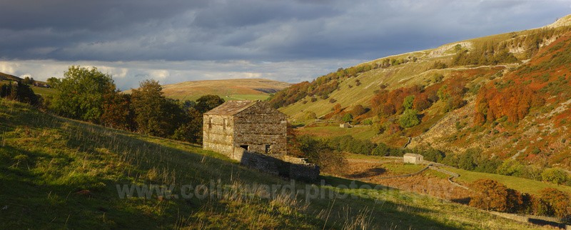 Autumn Swaledale - Panoramic Landsapes