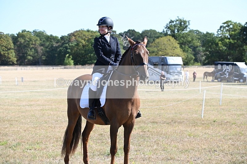 WJ6_7296 - Class 33 Rescue Pony