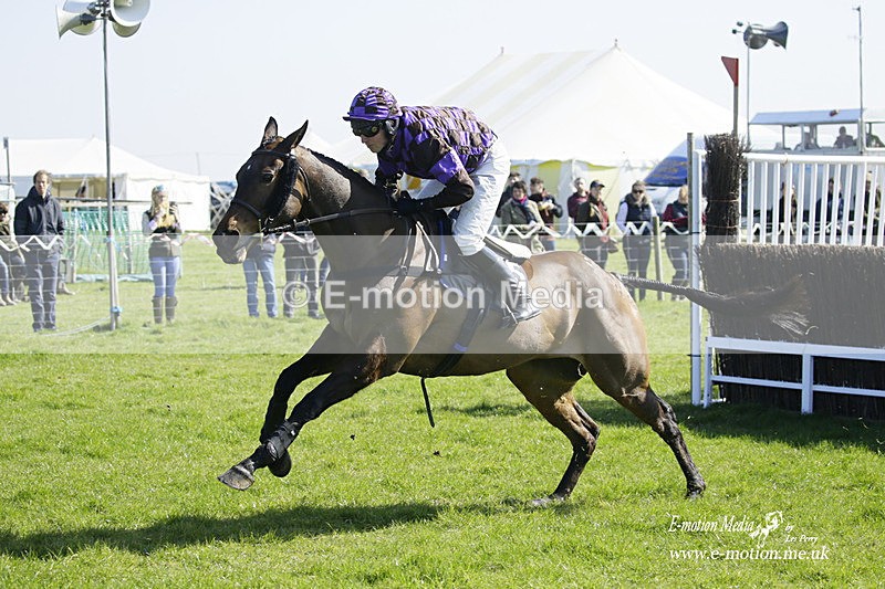 PtP 190322 290 - Wilton Hunt PtP Milborne St Andrew 19/03/22