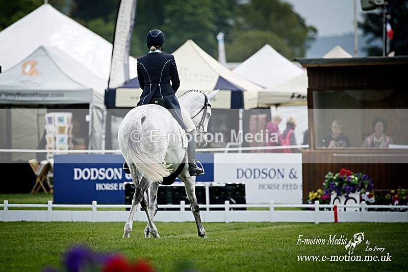 DR 110518_784a - Equestrian