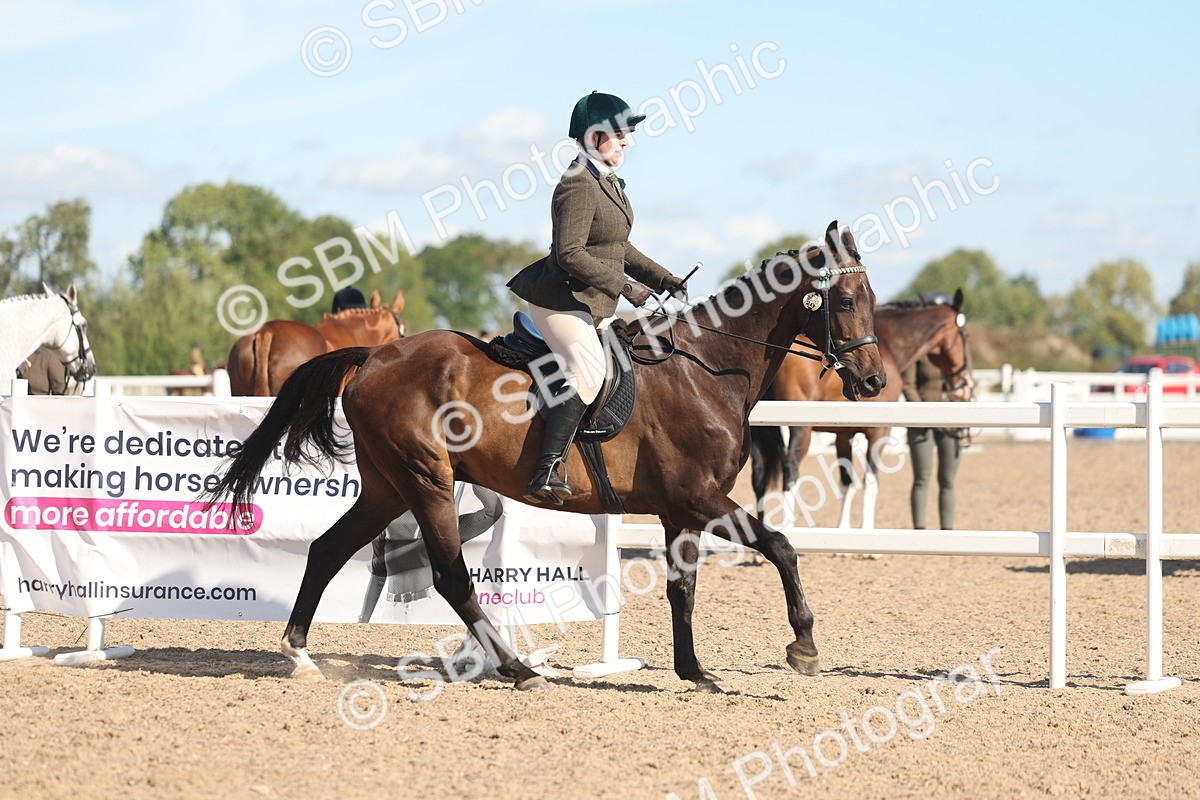 SBM_13152 - Class 305 - Ridden Foreign Breed Pure Bred