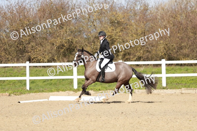 20260314-2954 - DR3 - Prelim 1