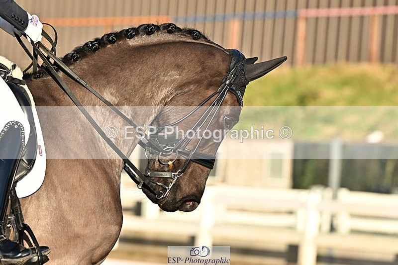 241214-143154-02873 - 139-Holly.Kerslake-Platinum.Cabachon