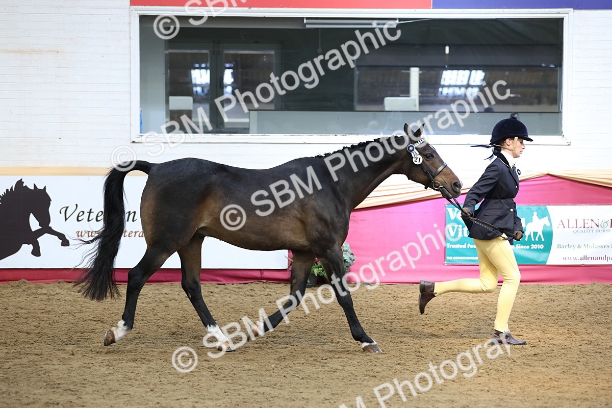 SBM_24112 - Class 905 - Supreme Final - Ridden Veteran