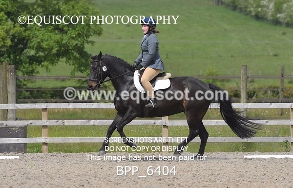 BPP_6404 - 36 H KING