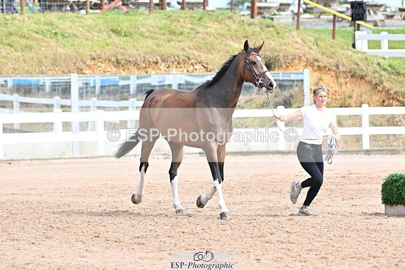 240717A-161954-03409 - Trot Up 4pm to 5pm