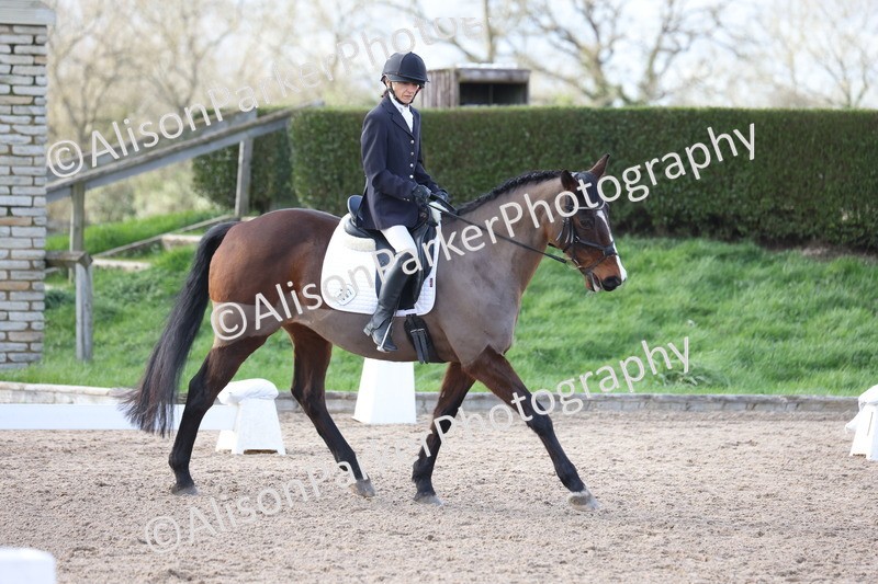 20260228-0828 - Class 6 - Novice 3