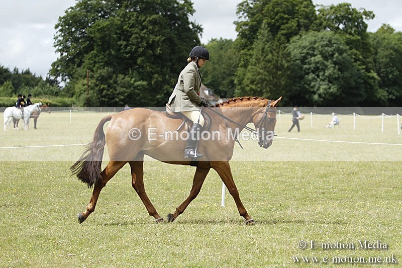 BVR160717-2276 - Working Hunter Championship 16/07/17