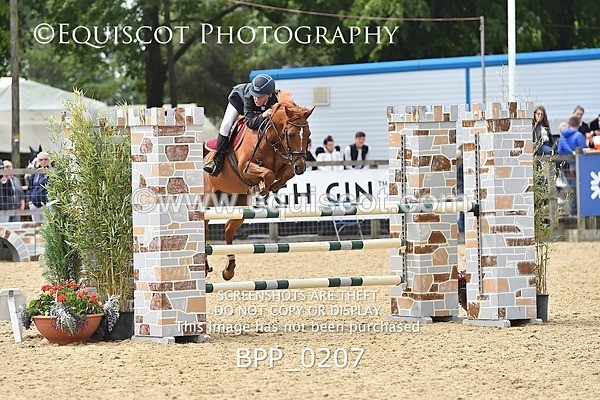 BPP_0207 - RHS 2019 Selection - *Just some random spectator shots so Lucky Dip if you are there!
