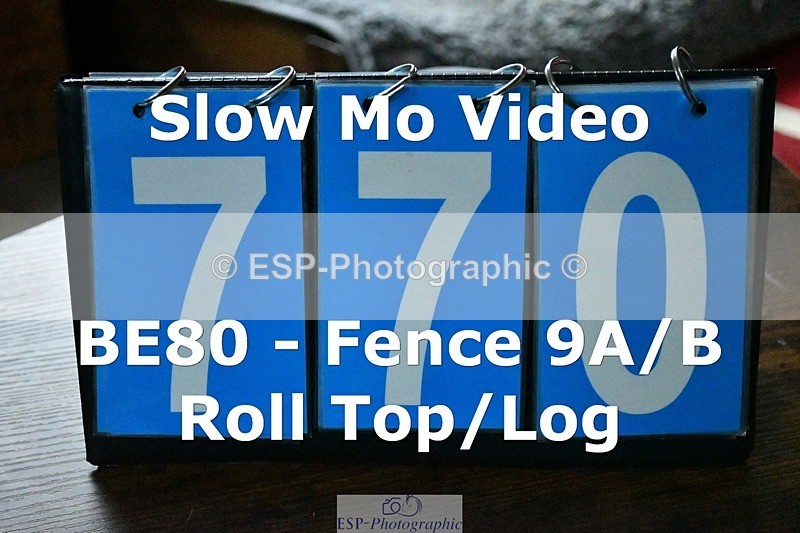 ESP_770 - P-770-Sue.Godwin