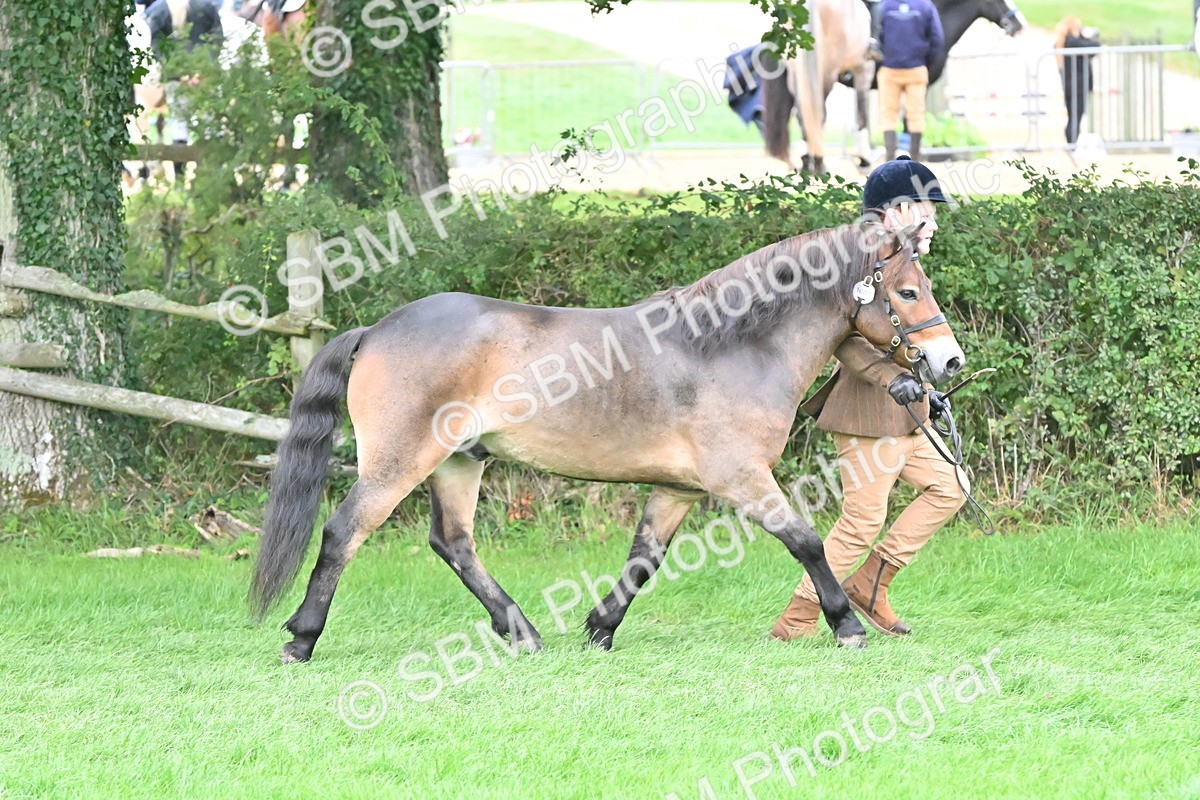 SBM_61007 - S48 - Mountain & Moorland In Hand Small Breeds