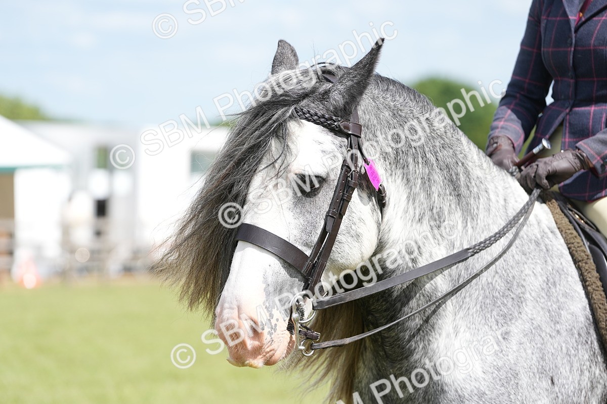 SBM_17297 - Class 107-108 - LIHS BSPS Performance Coloured Horse Pony