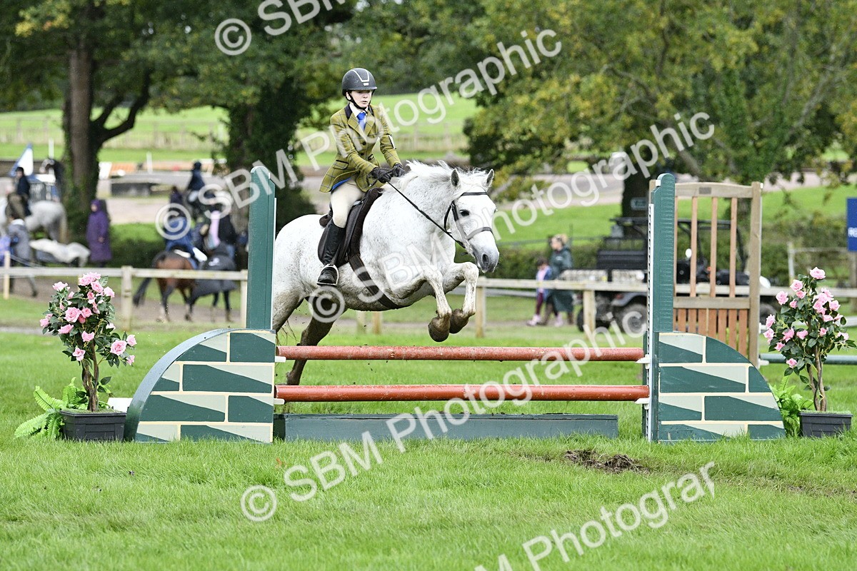 SBM_42264 - S32 - Mountain & Moorland Working Hunter Pony