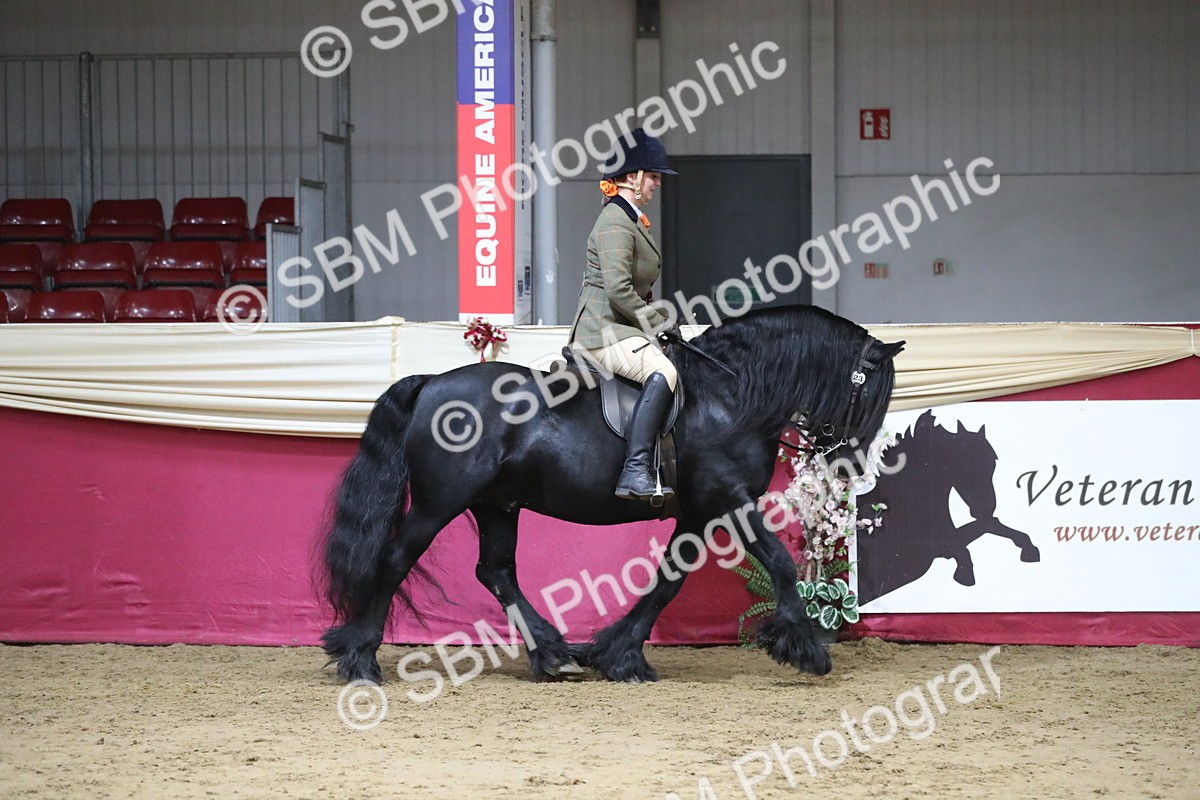 SBM_08489 - Class 11R Regional Ridden Veteran