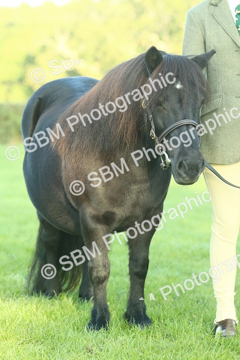 SBM_57467 - S37 - Starters In Hand Showing