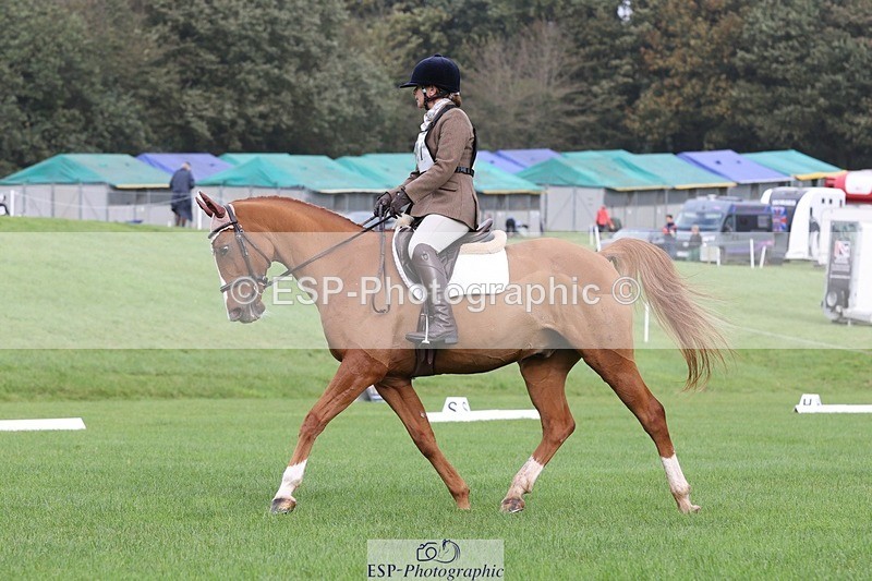 231019-105047-02455 - 607-RICO.III-Alison.Stewart-DR