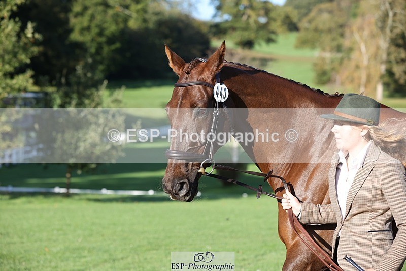 241027-092609-15292 - 443-Bethan.O'Dell-RED.VICO