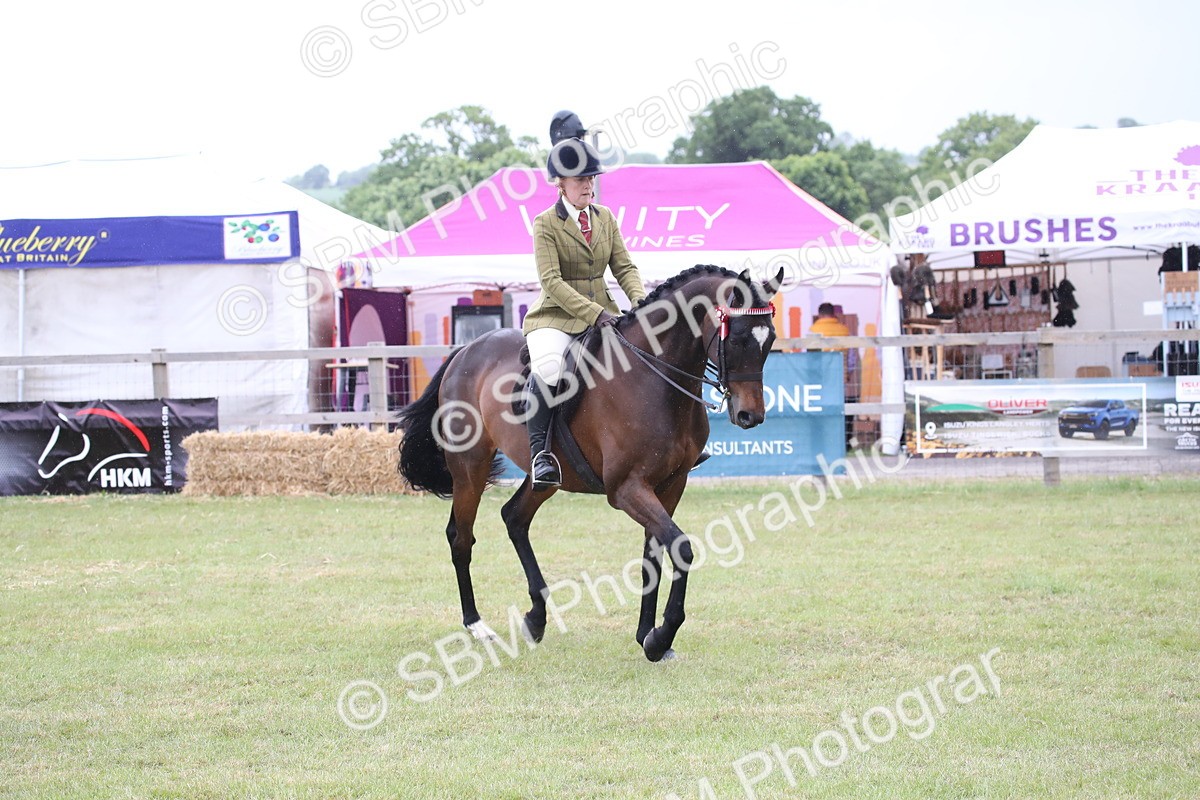 SBM_11438 - Class 94 - LIHS BSHA Racehorse to Showhorse