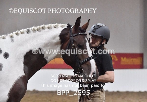 BPP_2595 - LOOSE JUMPING / SPSS