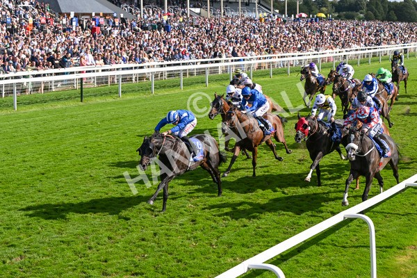 240824-Race 5-Elmonjed-1757 - Race 5 4.10pm Sky Bet Constantine Handicap