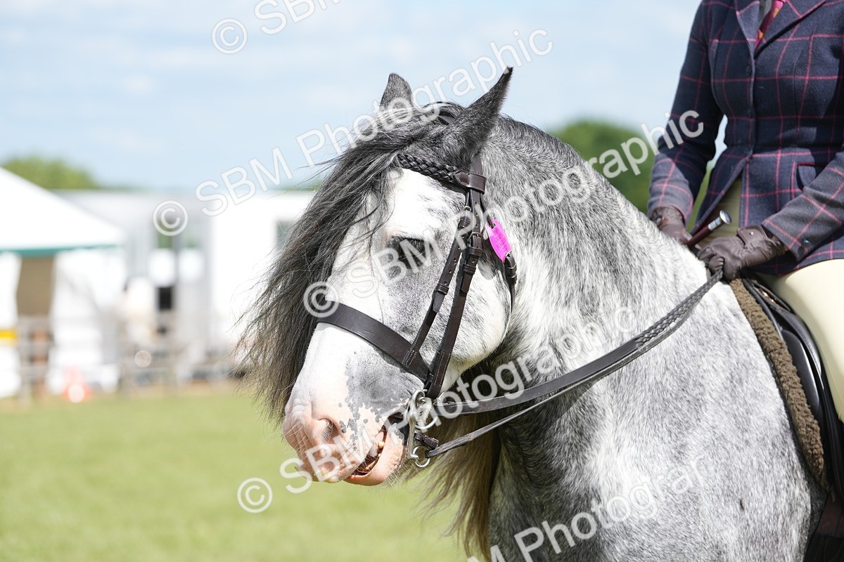 SBM_17298 - Class 107-108 - LIHS BSPS Performance Coloured Horse Pony