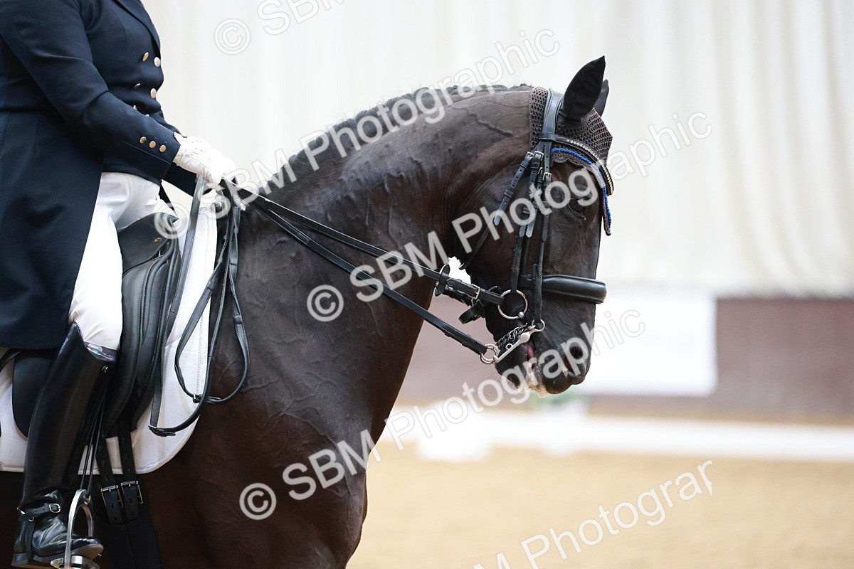 SBM_008660 - Class 14 - FEI PSG - 9.30-10.30