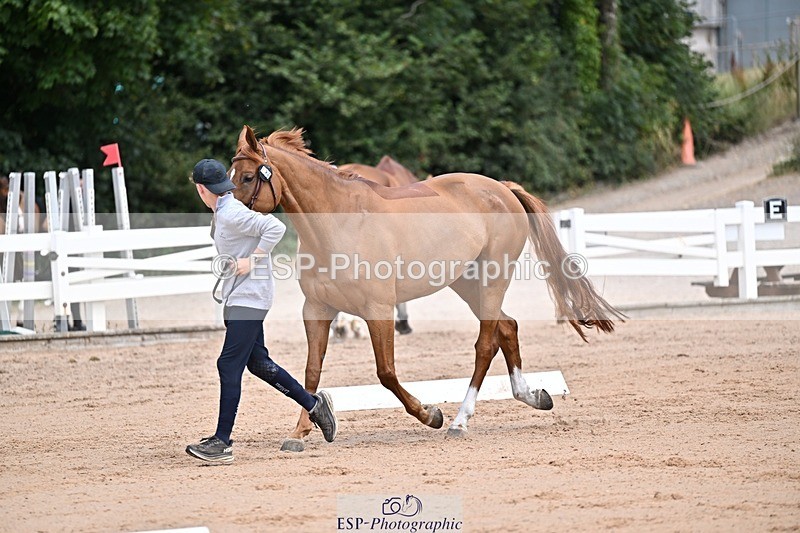 250716-130627-00333 - Trot Up 12.30 to 1.30