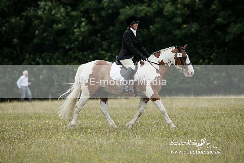 BVRC 030721 89 - Bourne Valley Riding Club Dressage 03/07/21