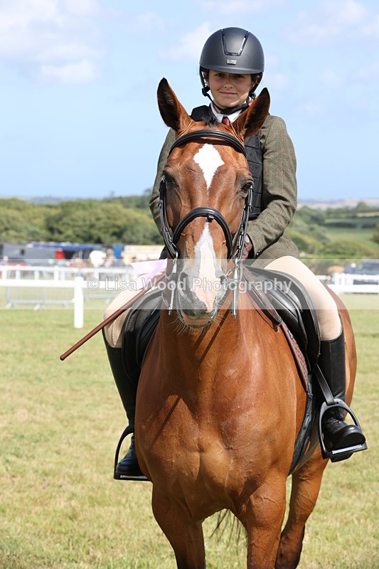 JPP_2466 - Class 19: Working Hunter 60cm