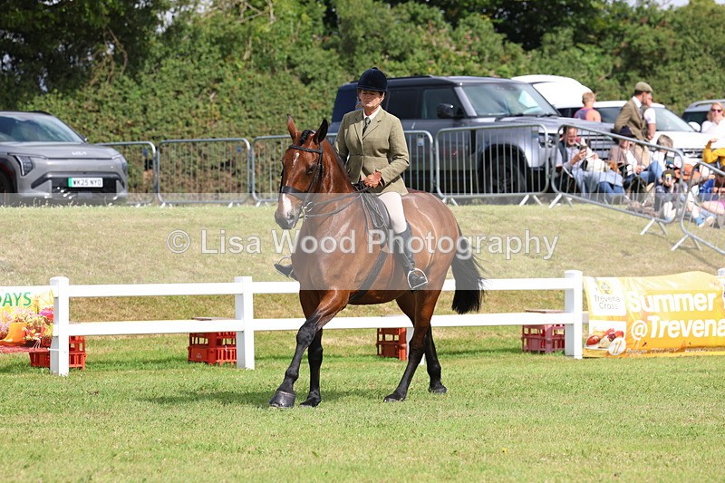 3E7A9396 - Class 4: Rising Star M/H Hunter