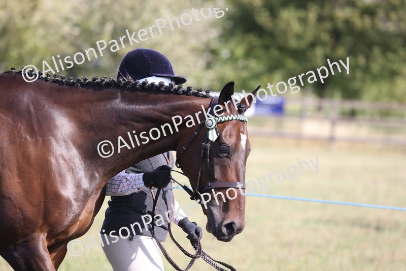 20260906-0657 - Class 22 - Ex Racehorse