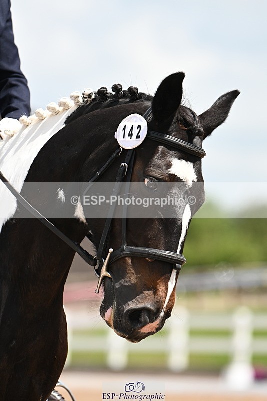 240621A-121012-02492 - Cls 5 BD Novice 37A