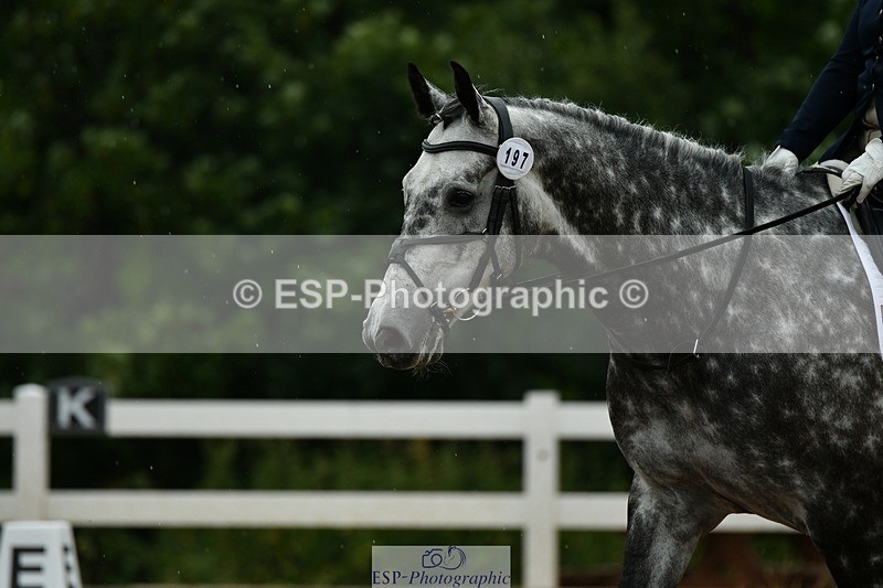 230708A-122808-01362 - Novice 23