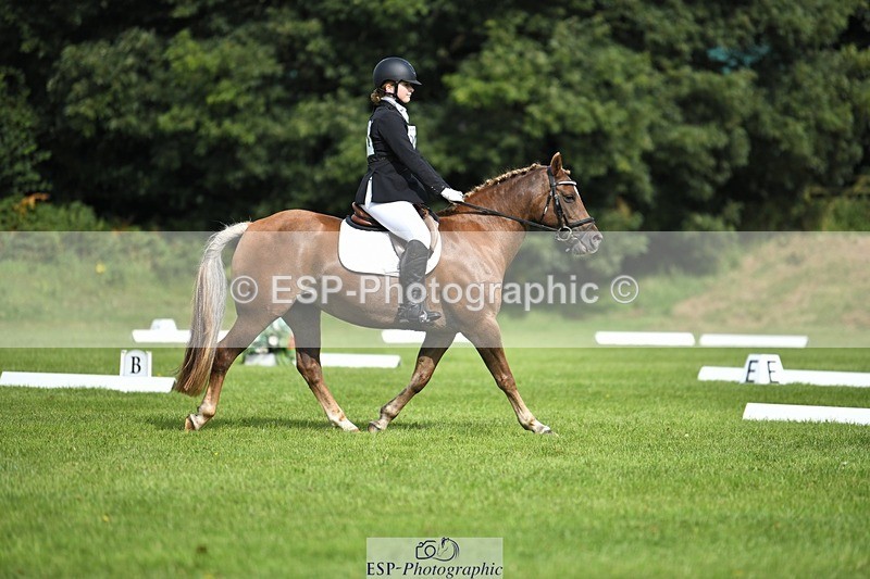 230826-104853-15617 - Sections C & D 10 to End