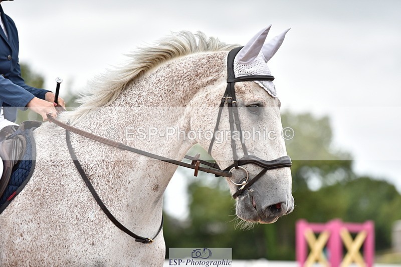 230801B-183534-00720 - 80cm