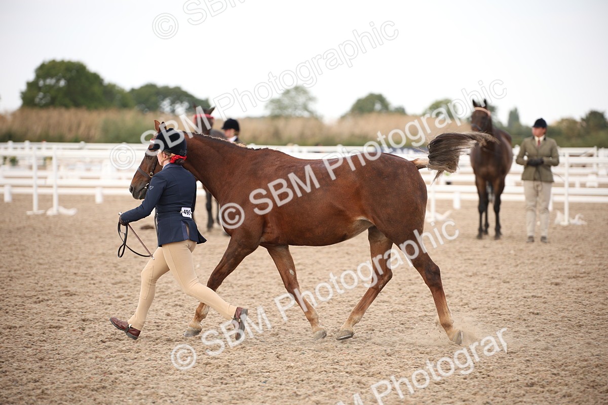 SBM_08222 - Class 27 - IH Competition Horse-Pony