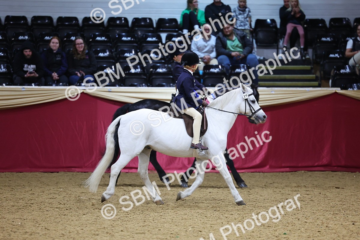 SBM_18480 - Class A Junior Champ 10 Years and Under
