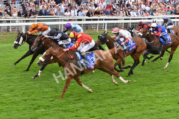 yr23072022r2-37 - Race 2 2.40pm Sky Bet Dash