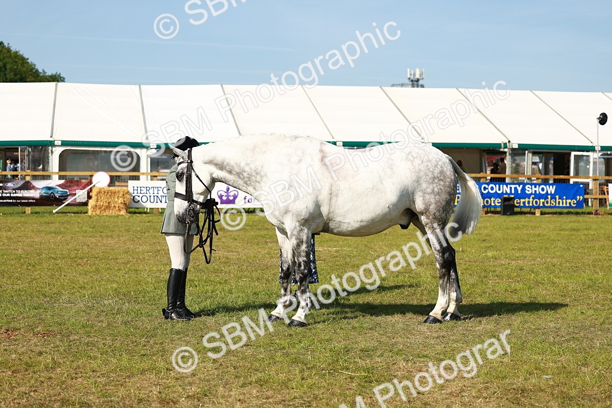 SBM_11829 - Class 66-69 - RIHS Ridden Hunters Inc Small Hunter