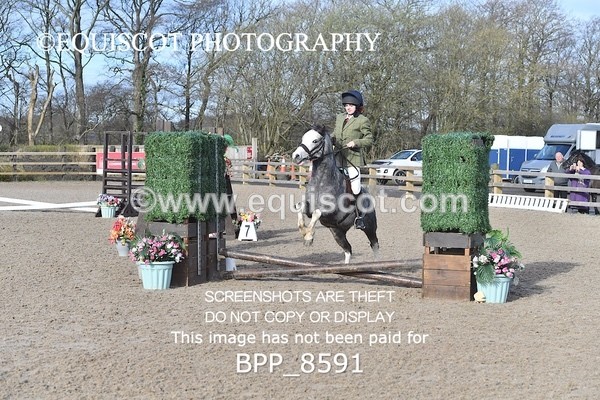 BPP_8591 - TRAINING STAKES