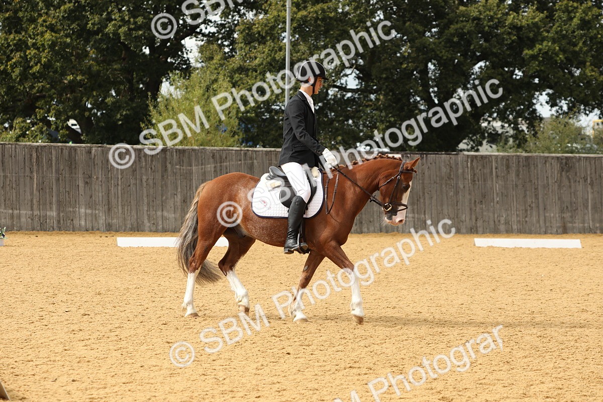 SBM_46065 - D23 - Junior Championship - Prelim 12