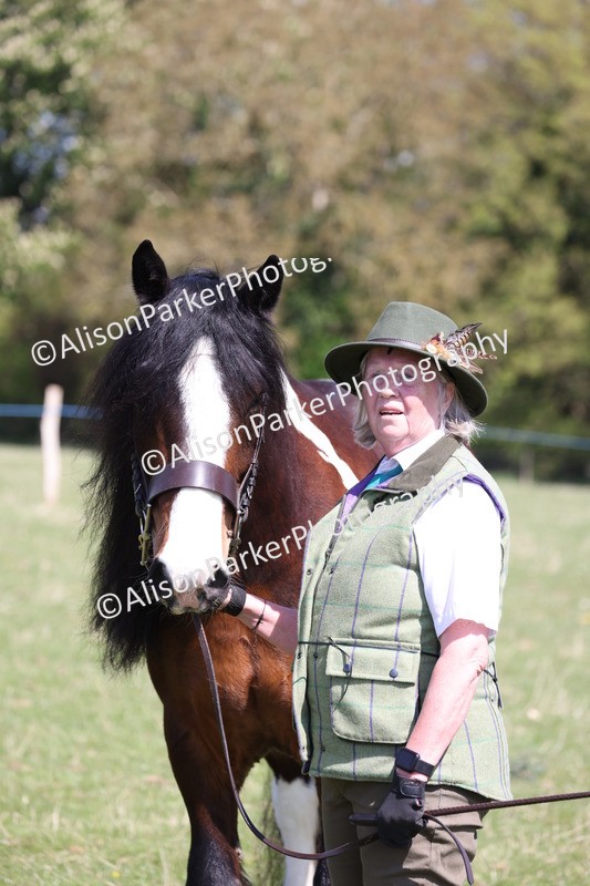 20250427-2981 - Class 27 - Coloured Horse and Pony