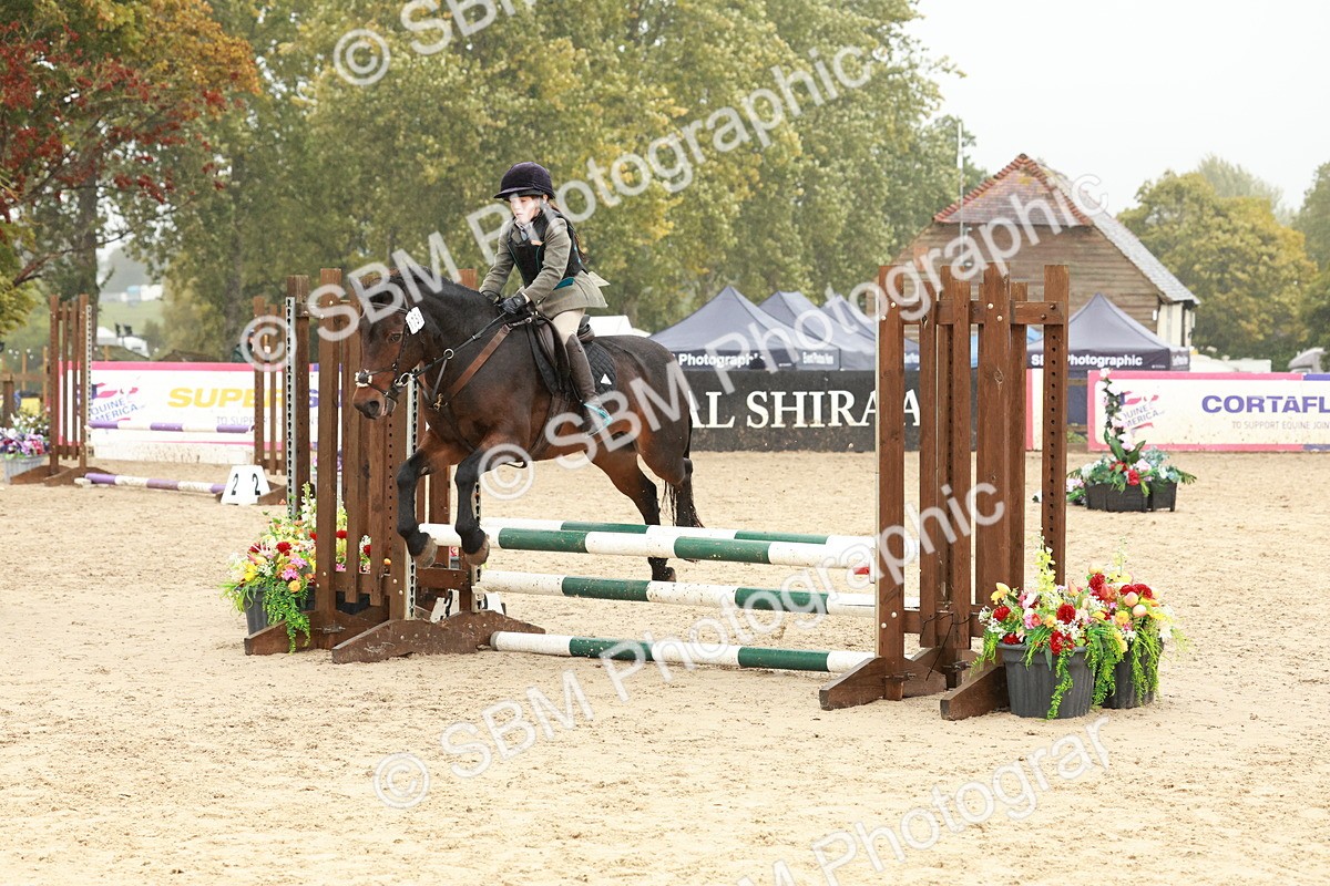 SBM_73288 - Supreme Championship Junior Pony 60cm & 65cm