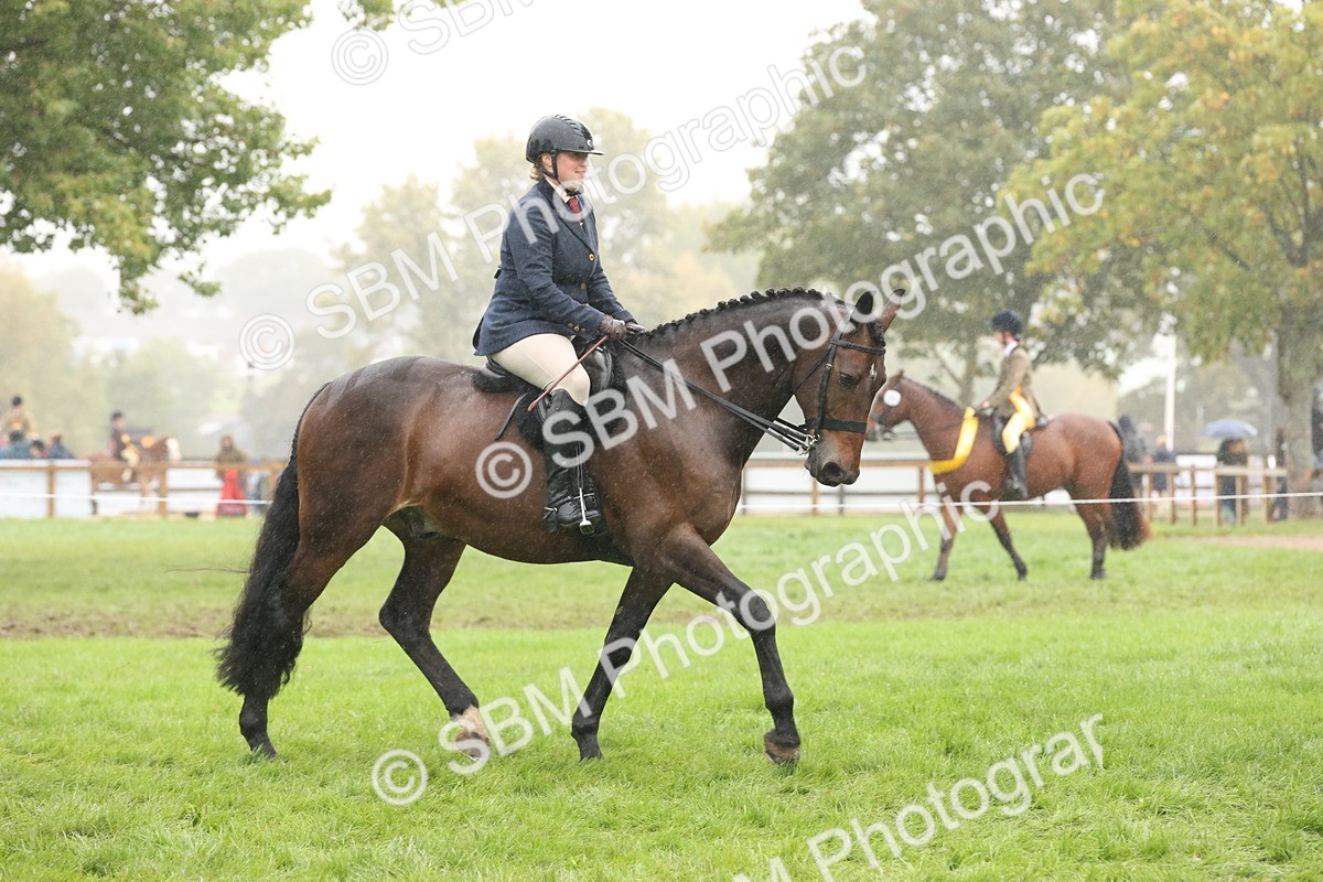 SBM_72900 - Ridden Horse Supreme Championship