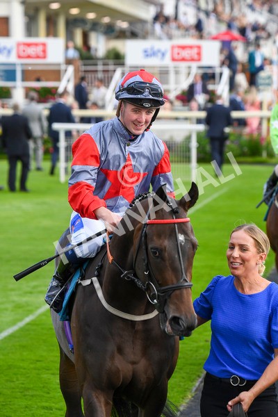 290723-Race 7-Bajan Bandit-1034 - Race 7 5.45pm Sky Bet Extra Places Every Day Handicap