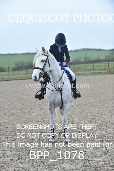 BPP_1078 - CLASS 1 Club/ Unaffiliated 60cms Open