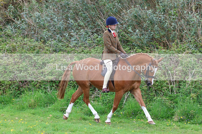 3E7A1954 - Class 10: Ridden Sports Horse