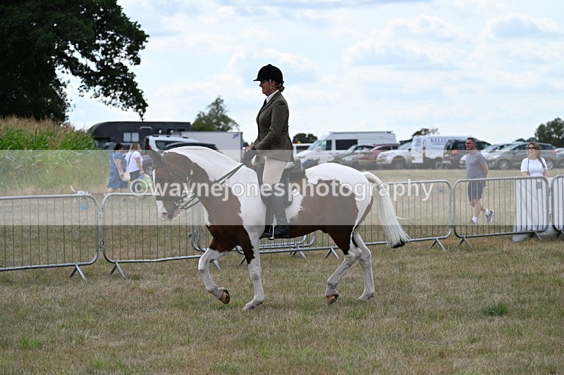 WJ7_4992 - Class 12 Ridden Cob