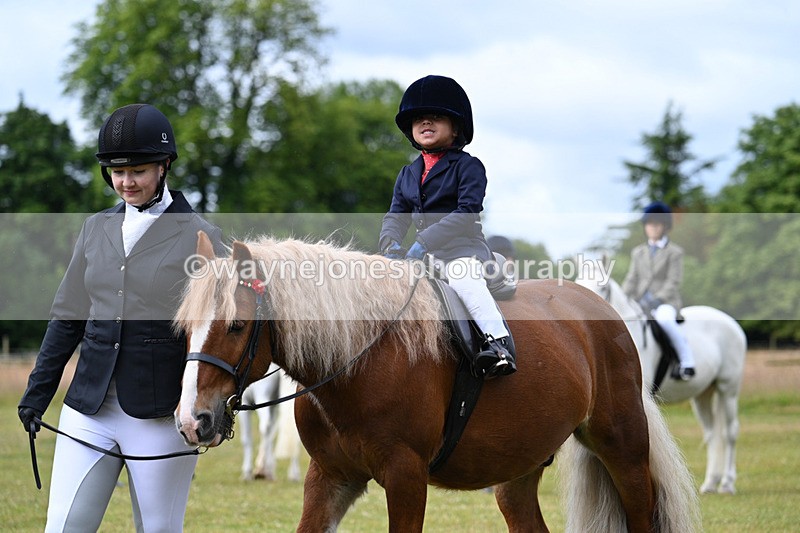 WJ7_4700 - Class 1 Lead Rein Pony